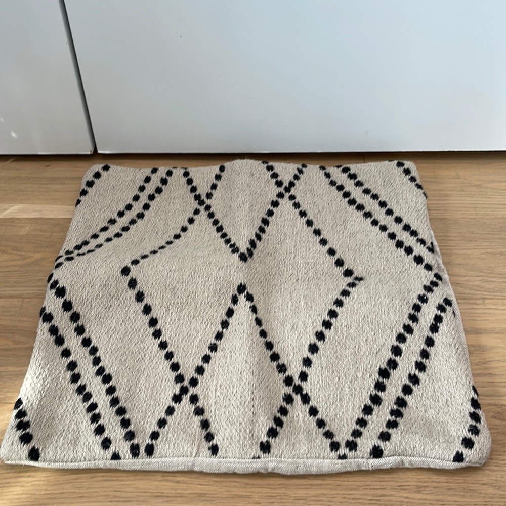 Crate & barrel indoor/outdoor pillowcase- 23x23